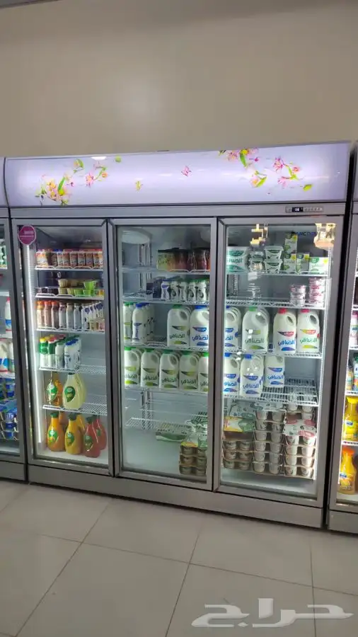 ثلاجات عرض BANCOOL مناسبة للورد - وللألبان والعصيرات 0