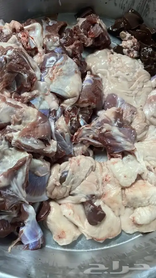 ذبايح مع السلخ والتوصيل والتوزيع حسب الطلب ثلاجه او صدقات 0