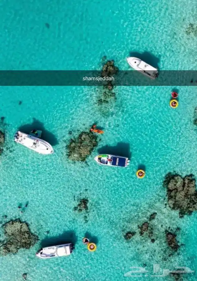 رحلات وحفلات بحرية عرض خاص وحصري 6