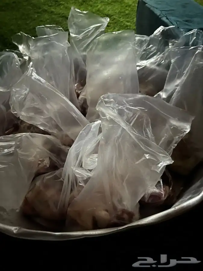 ذبايح مع السلخ والتوصيل والتوزيع حسب الطلب ثلاجه او صدقات 2