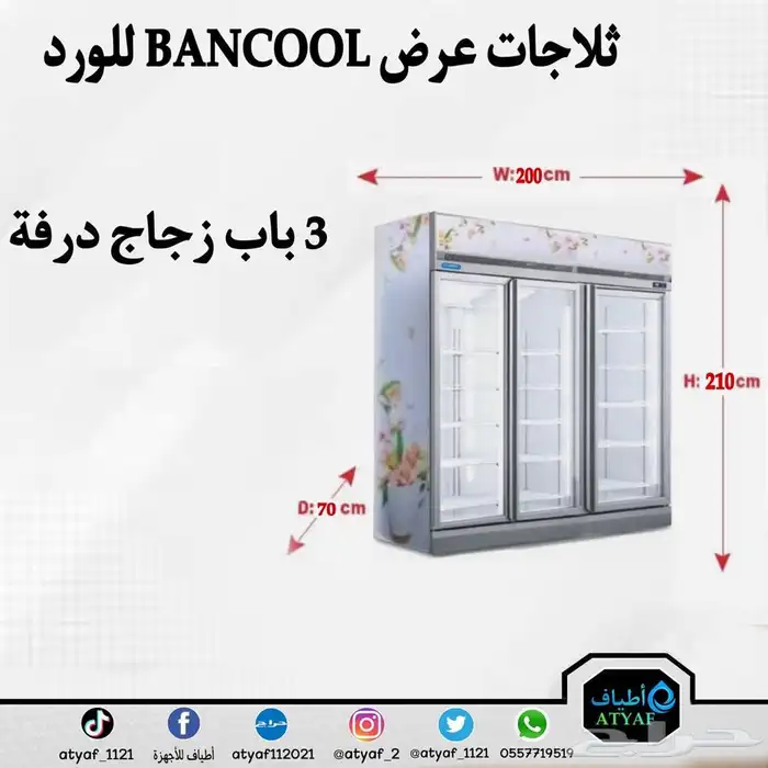 ثلاجات عرض BANCOOL مناسبة للورد - وللألبان والعصيرات 2