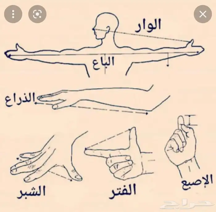 قرقور او صخاوي لصيد الاسماك 6