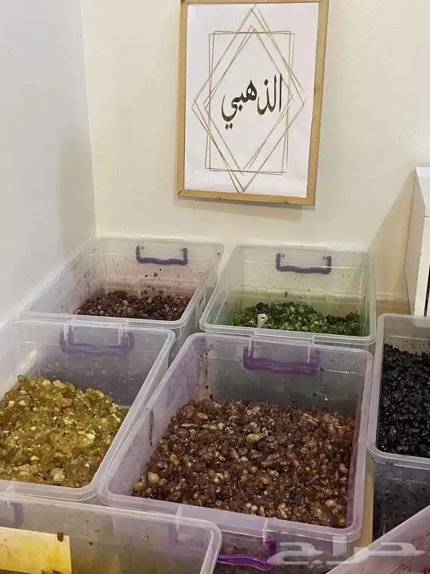 بخور لبان مسقى الذهبي 5