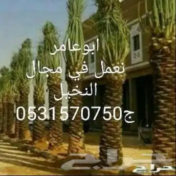 مقاول نخيل تعديل تخييش جريد مجموعة عمال 0