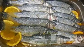 شوي خارجي اسم واحد مشويات مشاوي شيف عماد 40