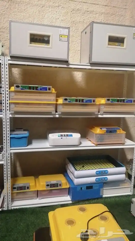 فقاسات سعة 18-24-48-55-63-98-352-528-1056 1