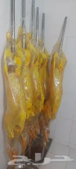 خروف مشوي على الجمر حري بلدي 14