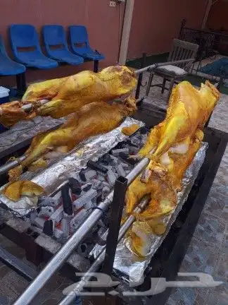 خروف مشوي على الجمر حري بلدي 9