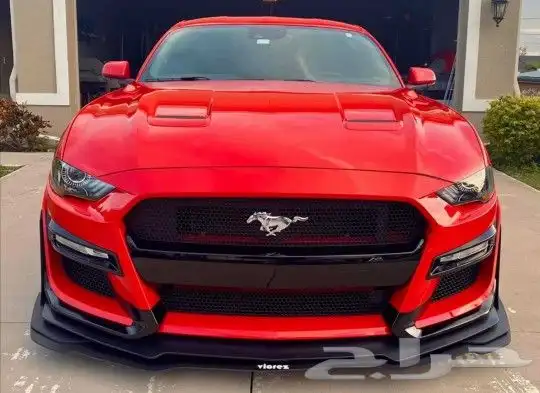 صدام امامي شلبي و GT500 2