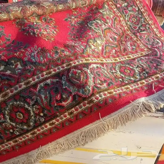 شرورة الربع الخالي لتأجير الزل وتجهيز المناسب 16