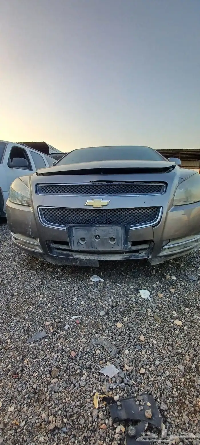 شيفروليه ماليبو 2010 6