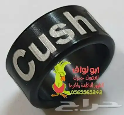 حجول قلايد فتخات حلق اطواق حمام ببغاء كنيور 26