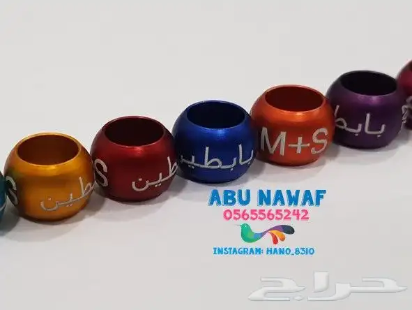 حجول قلايد فتخات حلق اطواق حمام ببغاء كنيور 17