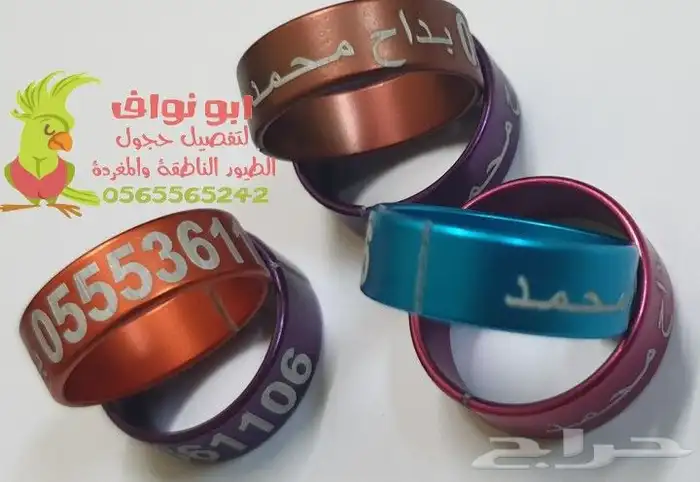 حجول قلايد فتخات حلق اطواق حمام ببغاء كنيور 12