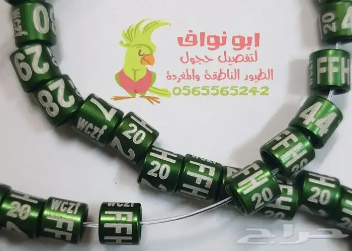 حجول قلايد فتخات حلق اطواق حمام ببغاء كنيور 4