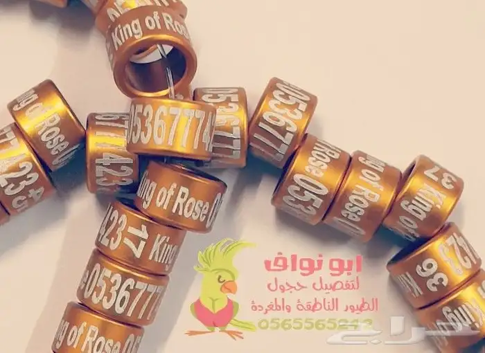 حجول قلايد فتخات حلق اطواق حمام ببغاء كنيور 11