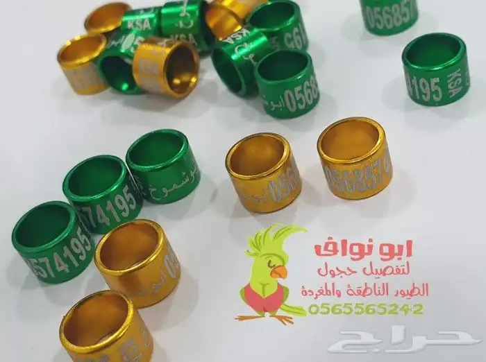 حجول قلايد فتخات حلق اطواق حمام ببغاء كنيور 9