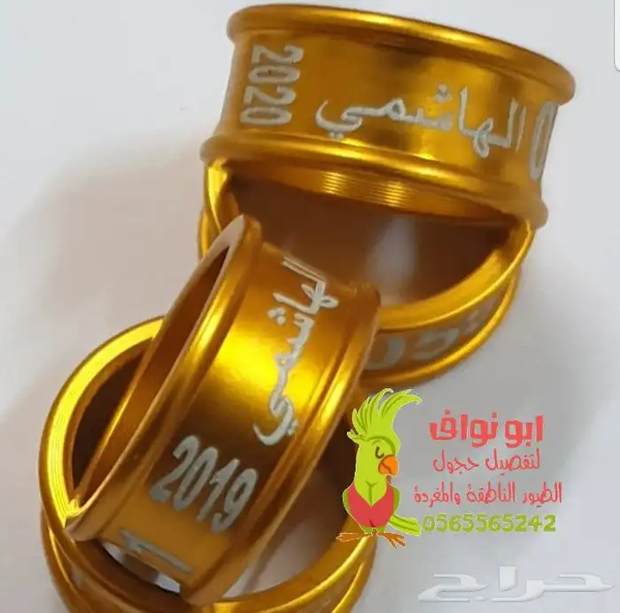 حجول قلايد فتخات حلق اطواق حمام ببغاء كنيور 29