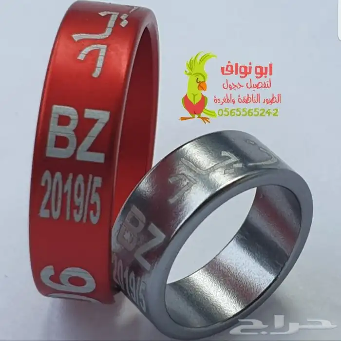 حجول قلايد فتخات حلق اطواق حمام ببغاء كنيور 28