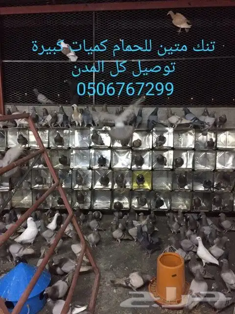 تنك للحمام جديد كميات كبيرة توصيل كل المدن 0