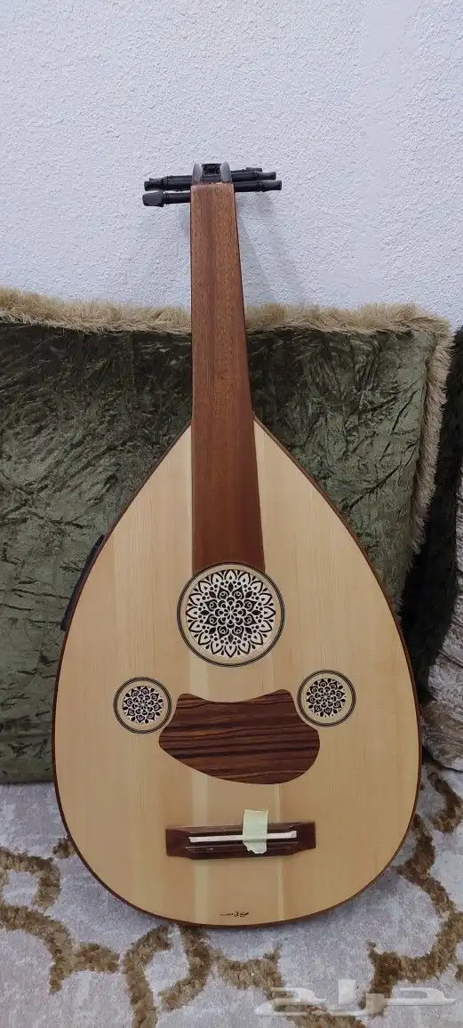 عود كهربائي مصري للصانع ثروة صابر للبيع 3