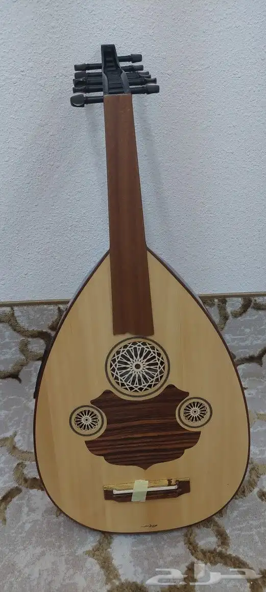 عود كهربائي مصري للصانع ثروة صابر للبيع 8