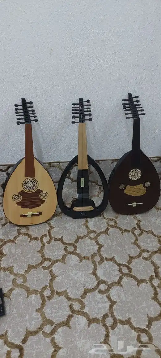 عود كهربائي مصري للصانع ثروة صابر للبيع 11