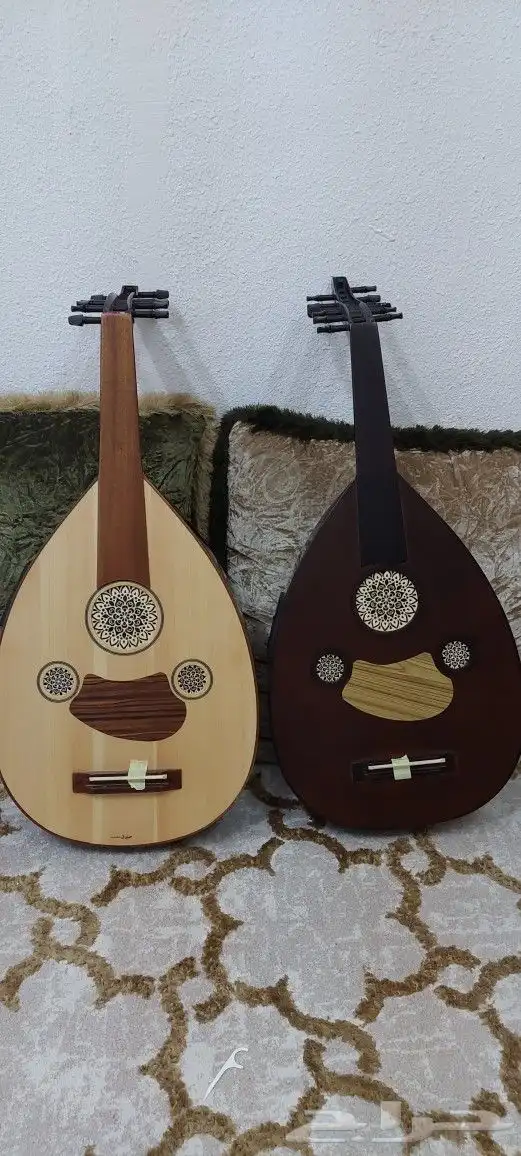 عود كهربائي مصري للصانع ثروة صابر للبيع 1