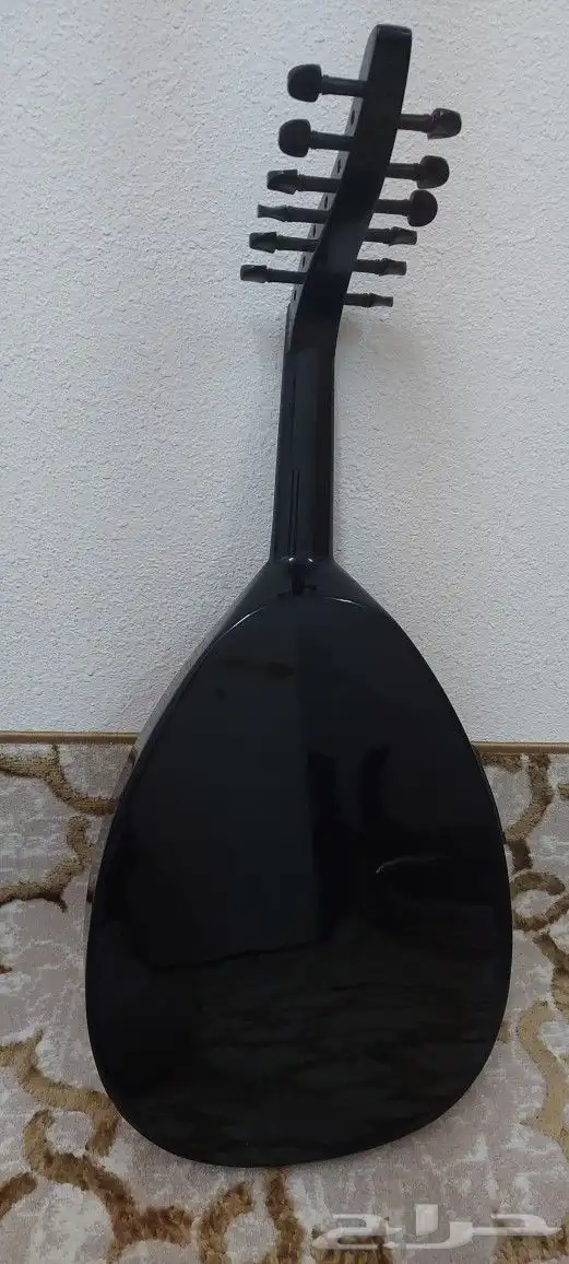 عود كهربائي مصري للصانع ثروة صابر للبيع 9