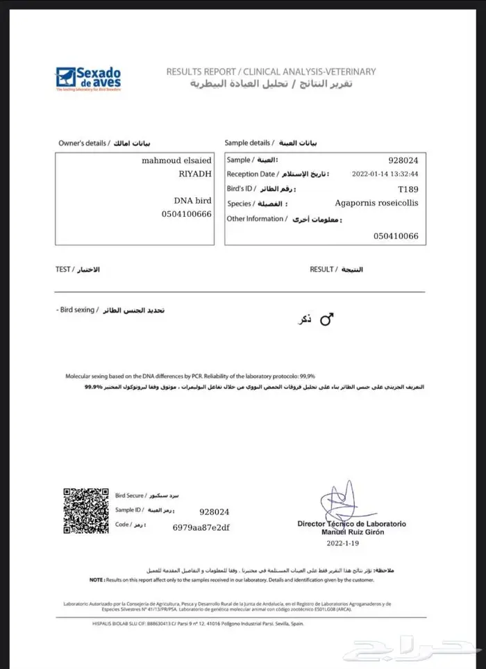 ذكر روز البينو ( تم البيع ) 4