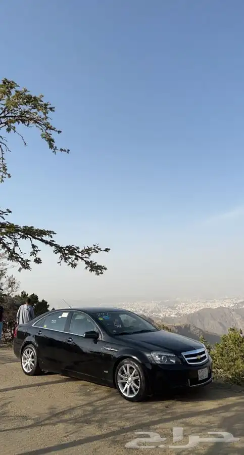 كابرس 2015 تم البيع 13