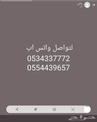 اعلاف واكل طيور كروان روز فيشر بادجي زيبرا كن 9