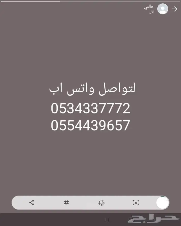 اعلاف واكل طيور كروان روز فيشر بادجي زيبرا كن 9