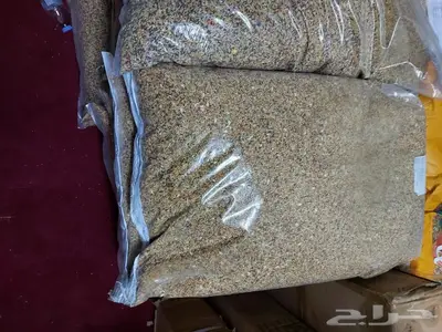 اعلاف واكل طيور كروان روز فيشر بادجي زيبرا كن 5