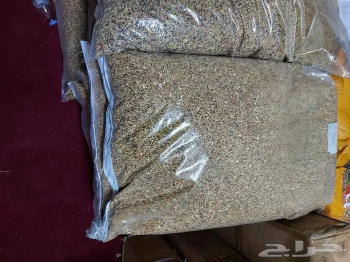 اعلاف واكل طيور كروان روز فيشر بادجي زيبرا كن 5