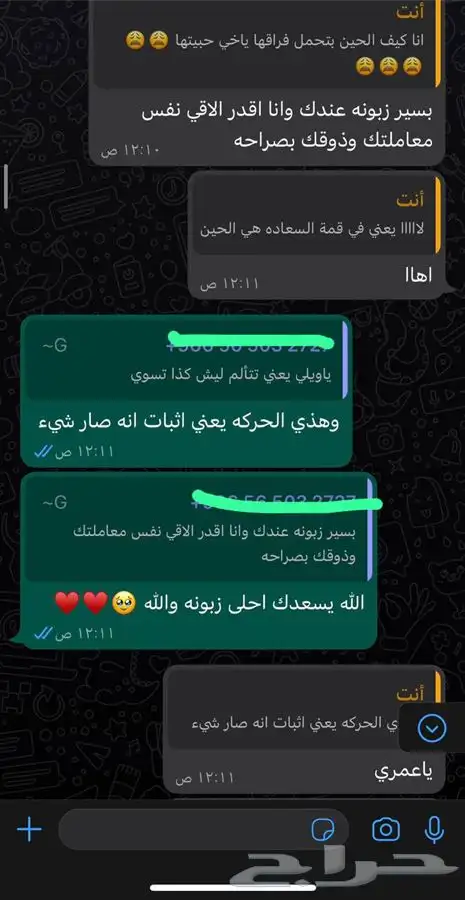 ذكر سكوتش قولد استريت Oz للتزاوج فندقة قطط 13