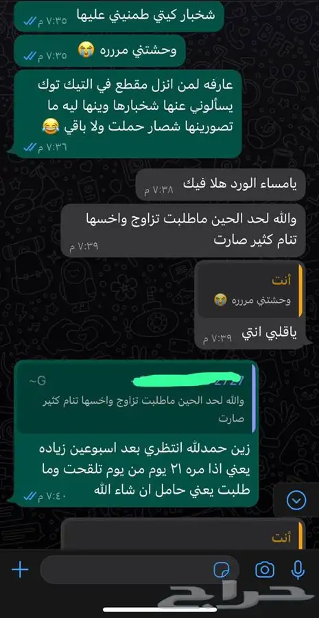 ذكر سكوتش قولد استريت Oz للتزاوج فندقة قطط 14
