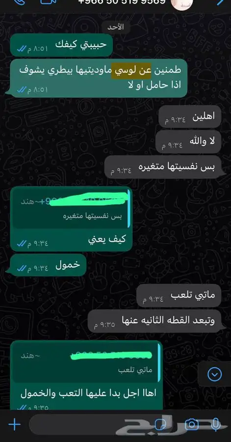 ذكر سكوتش قولد استريت Oz للتزاوج فندقة قطط 15
