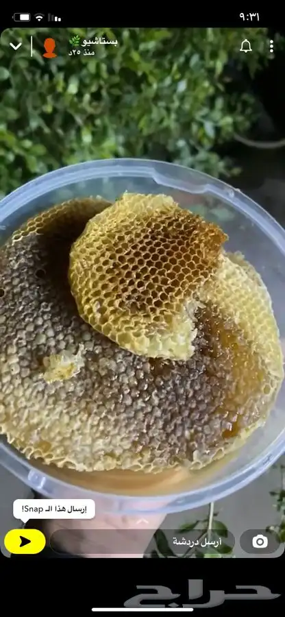 عسل السدر وعسل السمرة وشمع العسل الاصلي 3