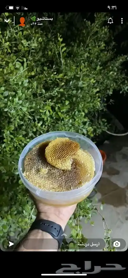 عسل السدر وعسل السمرة وشمع العسل الاصلي 5