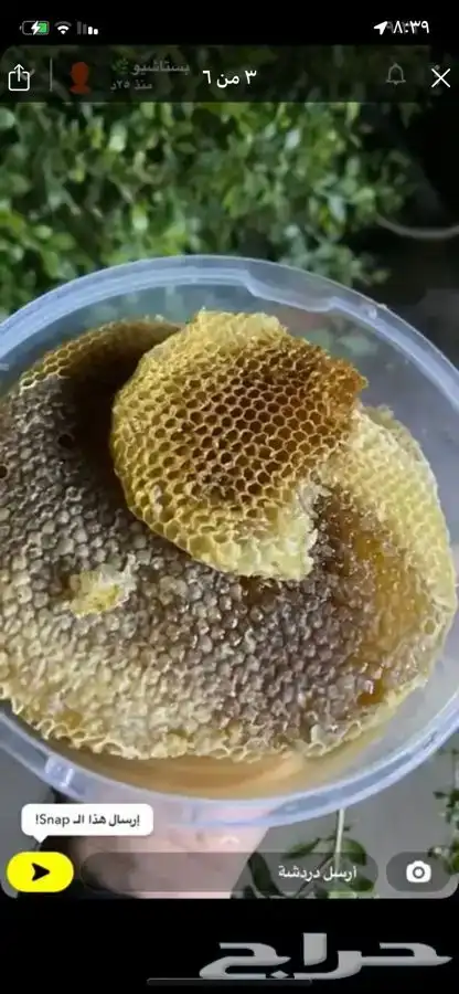 عسل السدر وعسل السمرة وشمع العسل الاصلي 1