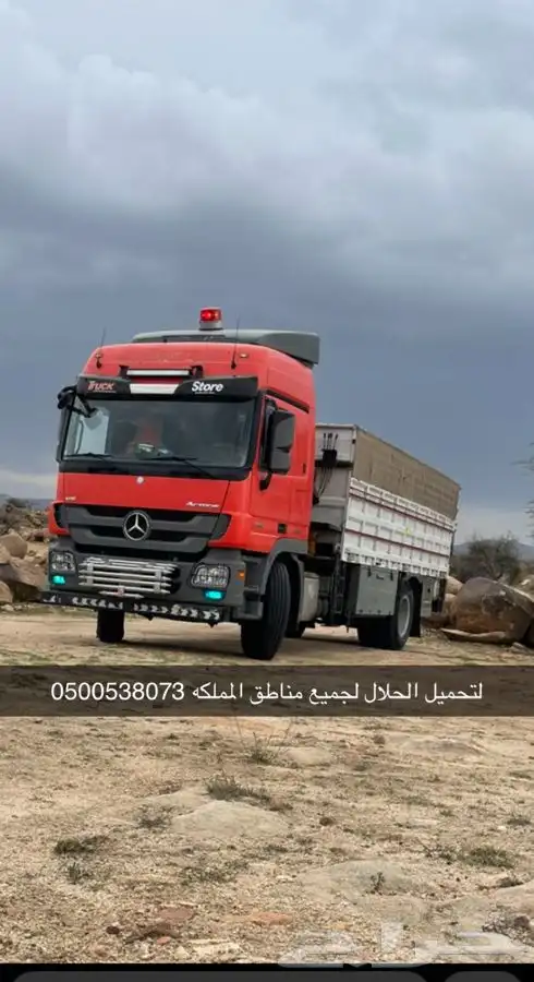 لوري لنقل الابل داخل وخارج المملكه 0