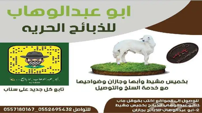 ذبايح خرفان رخال حريه 6