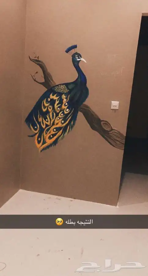 رسام متخصص جدران 28