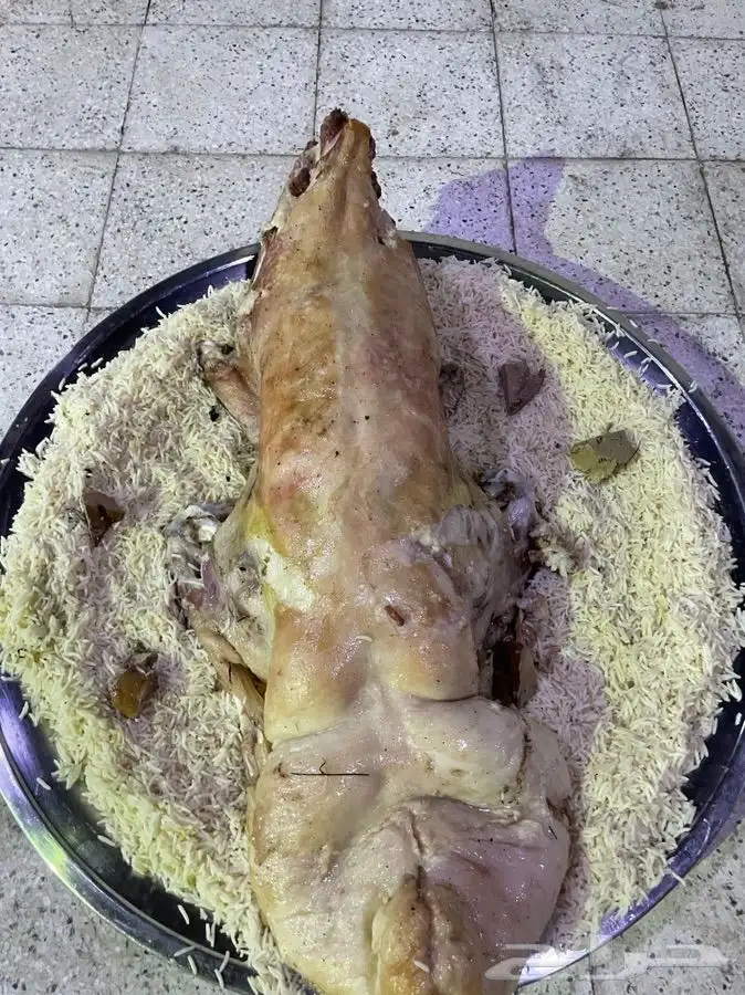 ذبايح طليان حريه وشرط نظيفه من كل شي من البر 6