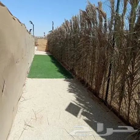 مخيم للايجار عروض الافتتاح 10