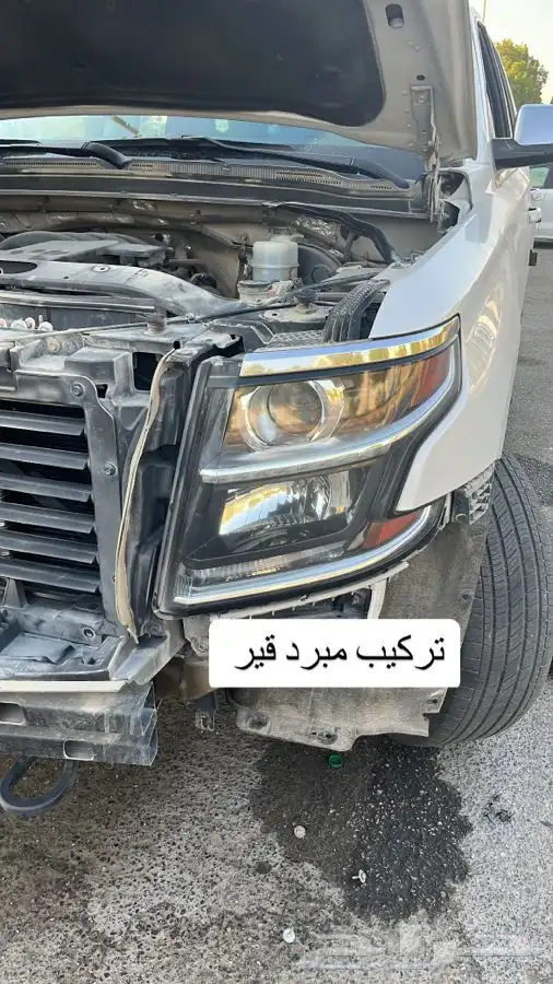 بلستين اكسسوارات بطانه كفر تروكول بلف رياضي 81