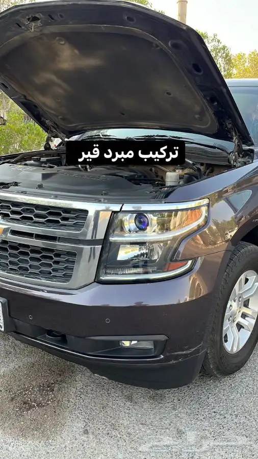 بلستين اكسسوارات بطانه كفر تروكول بلف رياضي 50