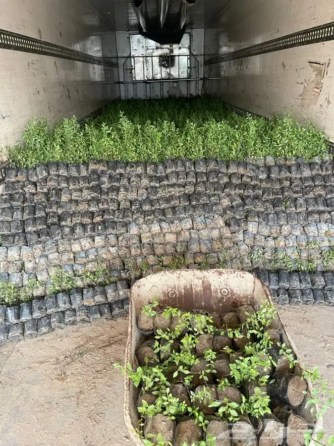مشتل التكامل الخضراء الزراعي 0533351329 2
