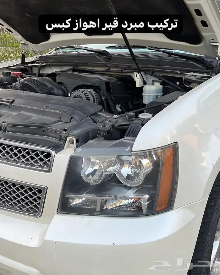 بلستين اكسسوارات بطانه كفر تروكول بلف رياضي 39